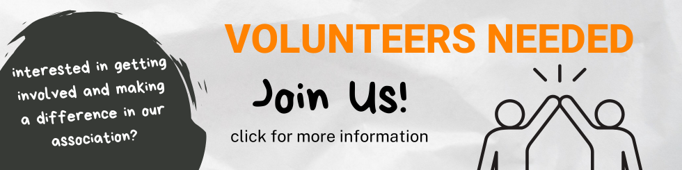 Volunteer Interest